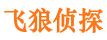 丰镇市私家侦探